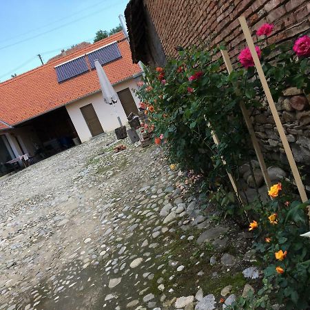 Casa Saseasca Villa Saschiz Екстериор снимка